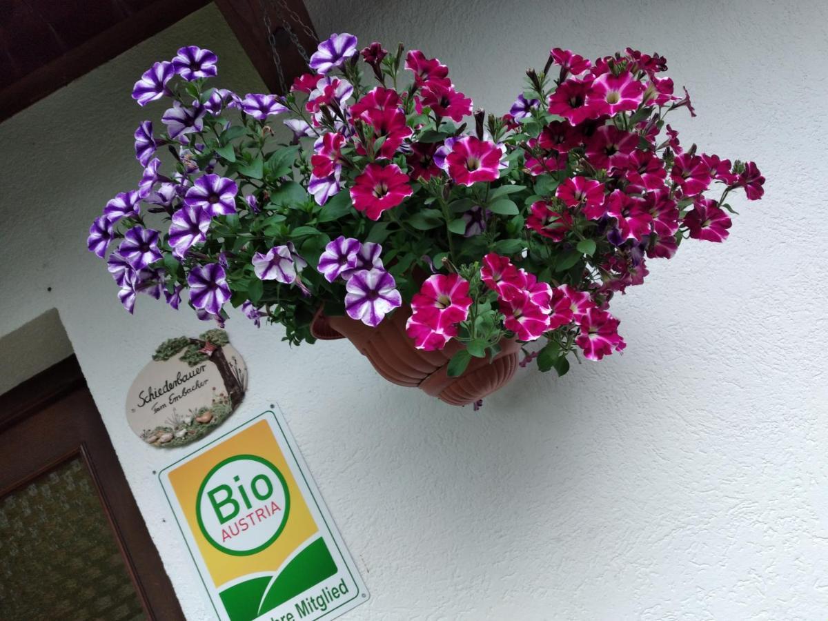 דירות Fusch an der Grossglocknerstrasse Bio-Bauernhof Schiederhof מראה חיצוני תמונה